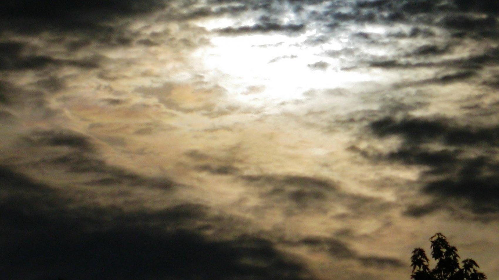 dark-57110_1280