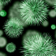 bacteria