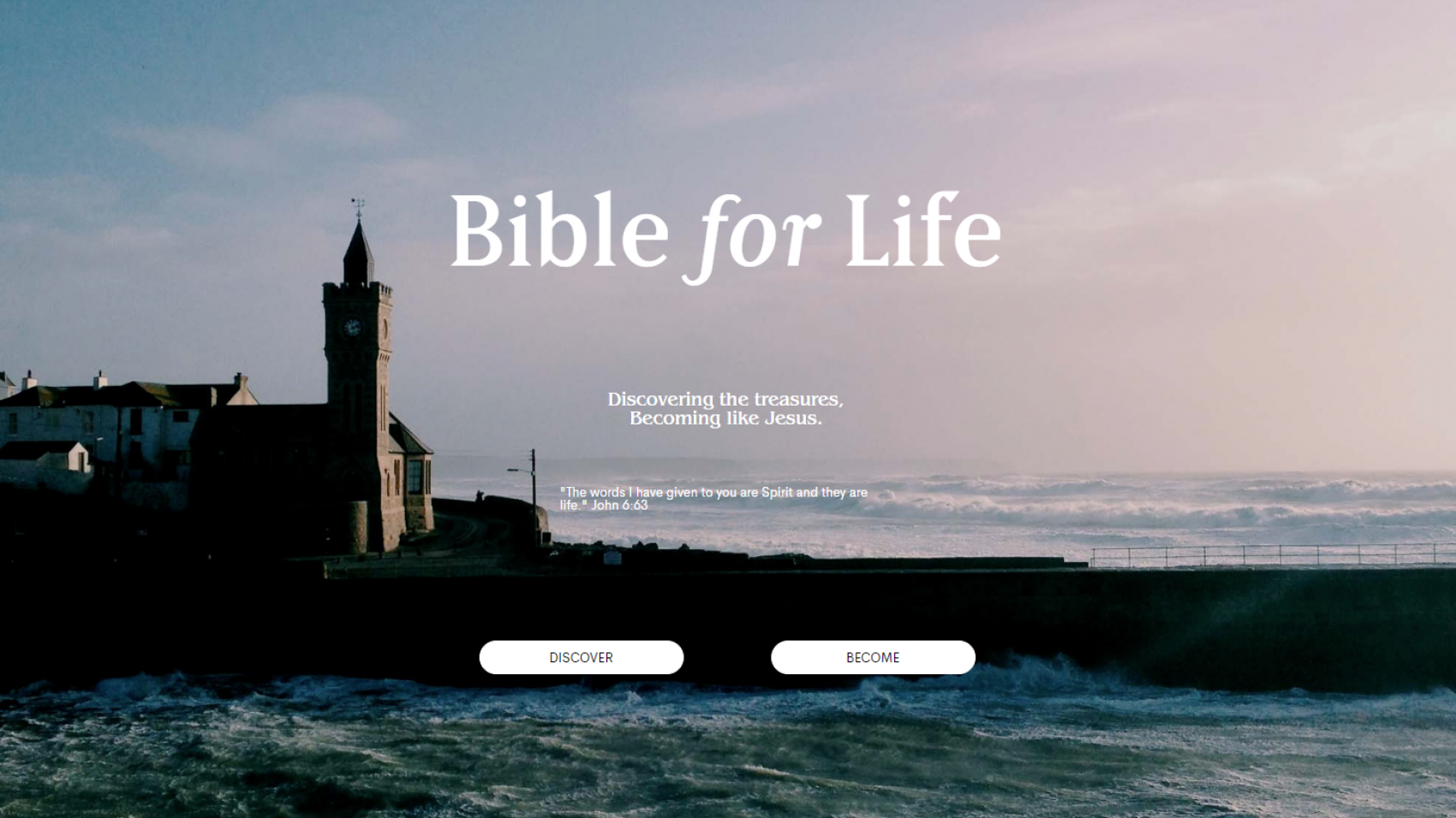 Bible for Life
