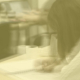 TD-Ep007-JLW-Why-Study-Theology_cover002